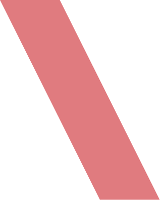 Logo Overlay